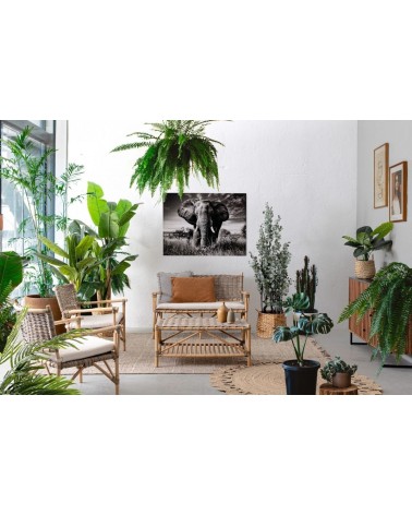 Coffee table TARIFA outdoor BIZZOTTO | BHOME by Arredi Barbàra