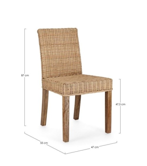 Chair ANALUZ BIZZOTTO | BHOME by Arredi Barbàra