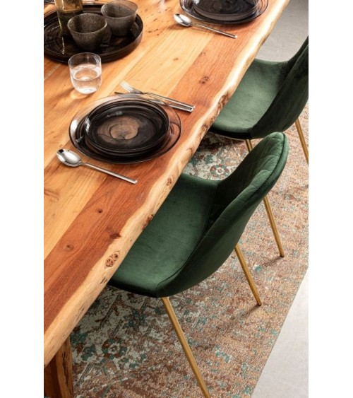 Chair TERRY BIZZOTTO velvet | BHOME by Arredi Barbàra