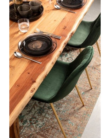 Chair TERRY BIZZOTTO velvet | BHOME by Arredi Barbàra