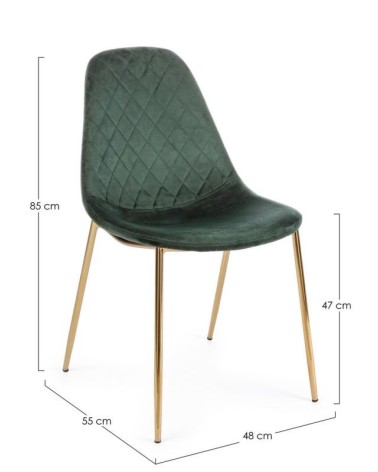 Chair TERRY BIZZOTTO velvet | BHOME by Arredi Barbàra