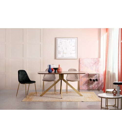 Chair TERRY BIZZOTTO velvet | BHOME by Arredi Barbàra