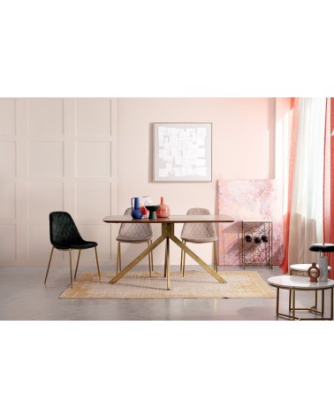 Chair TERRY BIZZOTTO velvet | BHOME by Arredi Barbàra