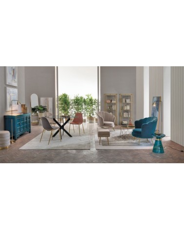 Chair TERRY BIZZOTTO velvet | BHOME by Arredi Barbàra