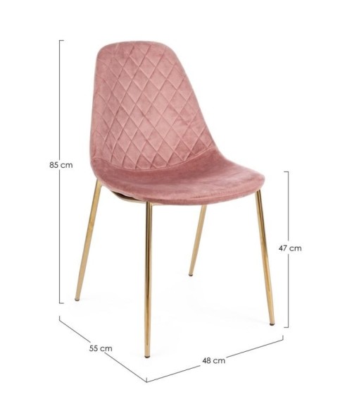 Chair TERRY BIZZOTTO velvet | BHOME by Arredi Barbàra
