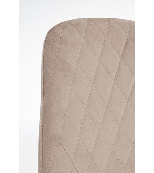 Chair TERRY BIZZOTTO velvet | BHOME by Arredi Barbàra