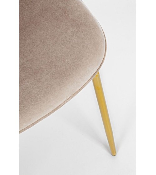 Chair TERRY BIZZOTTO velvet | BHOME by Arredi Barbàra