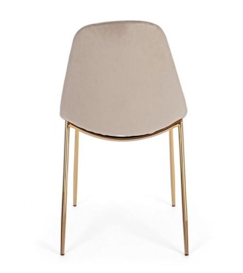 Chair TERRY BIZZOTTO velvet | BHOME by Arredi Barbàra