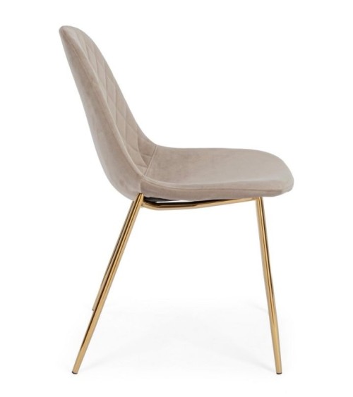 Chair TERRY BIZZOTTO velvet | BHOME by Arredi Barbàra