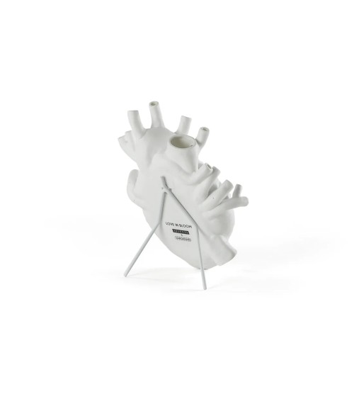 Love in Bloom Seletti Iconic Design Vase | BHOME