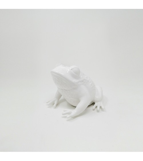 Prince & Queen Adriani e Rossi | Ranas decorativas de cerámica