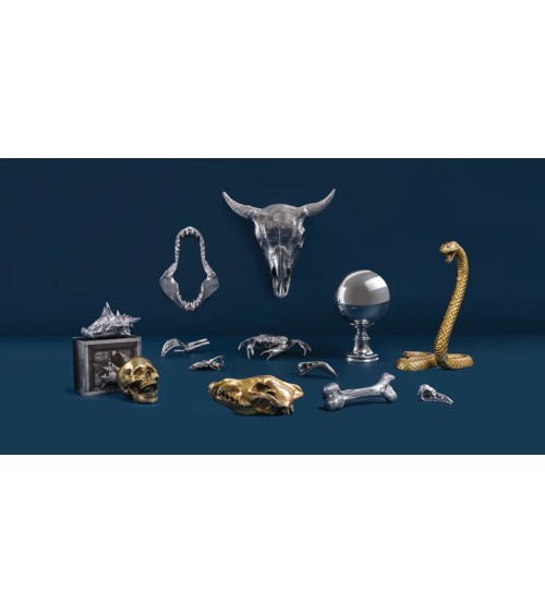Wunderkammer Skeleton Hand Seletti | BHOME