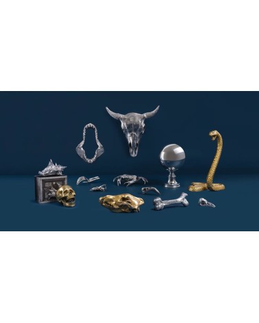 Wunderkammer Skeleton Hand Seletti | BHOME
