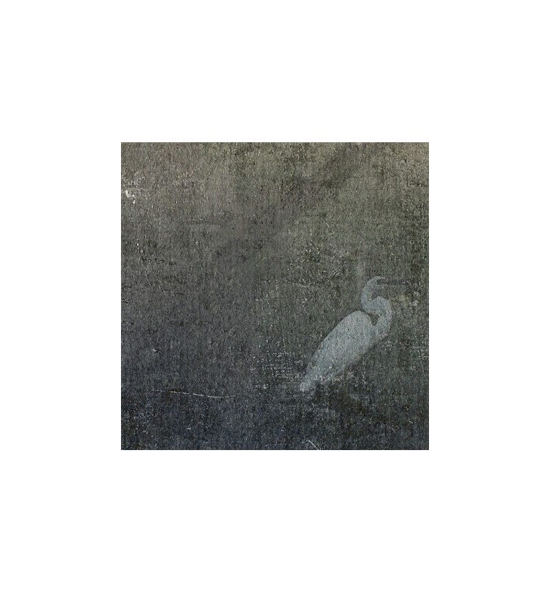 Papier peint Forestfall INKIOSTRO BIANCO | BHOME