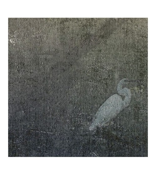 Wallpaper Forestfall INKIOSTRO BIANCO | BHOME