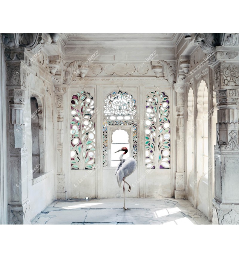 Tapete A place like amravti no 2 | BHOME