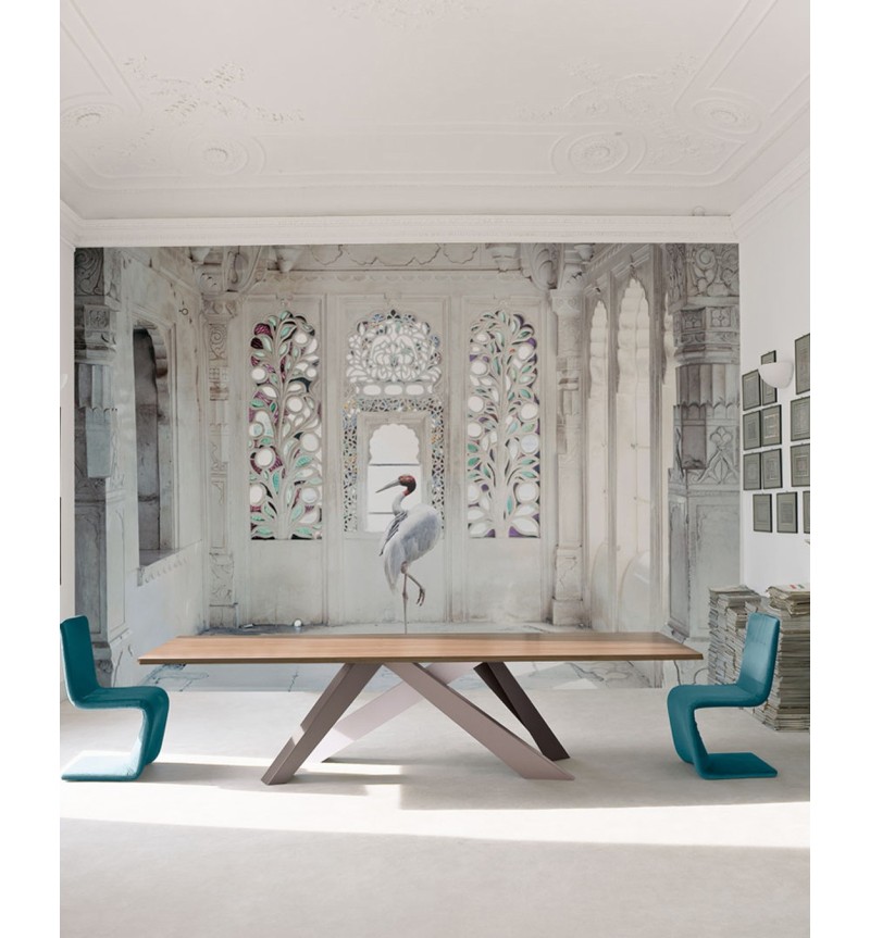 Carta da parati A place like amravti no 2 | BHOME