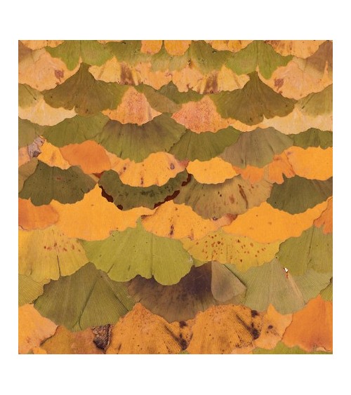 Papier peint Ginko Biloba INKIOSTRO BIANCO