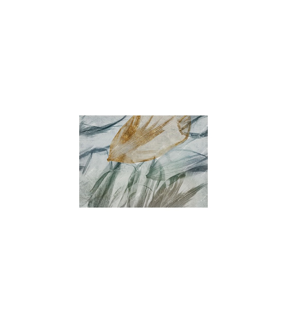 Papier peint Crocus INKIOSTRO BIANCO | BHOME