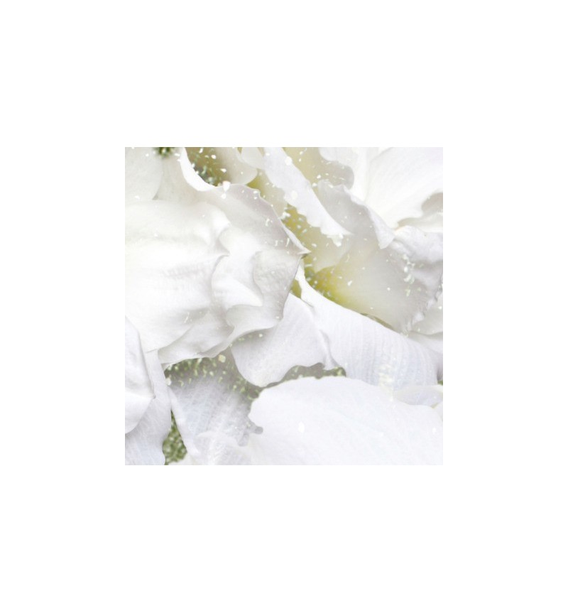 Papier peint Iceflor INKIOSTRO BIANCO | BHOME