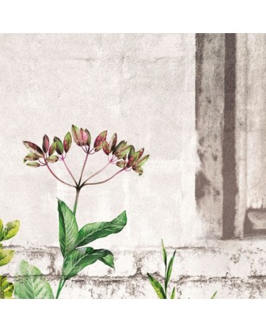 Wallpaper Camporella INKIOSTRO BIANCO | BHOME
