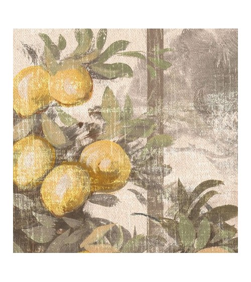 Papier peint Toscana INKIOSTRO BIANCO | BHOME