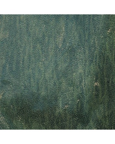 Wallpaper Viridian INKIOSTRO BIANCO | BHOME
