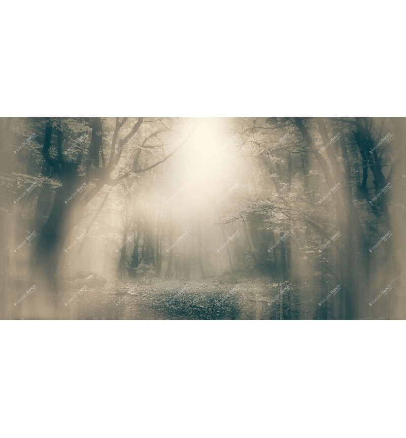 Carta da parati Moonlight INKIOSTRO BIANCO | BHOME