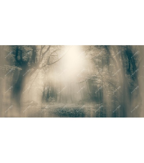 Papel pintado Moonlight INKIOSTRO BIANCO | BHOME