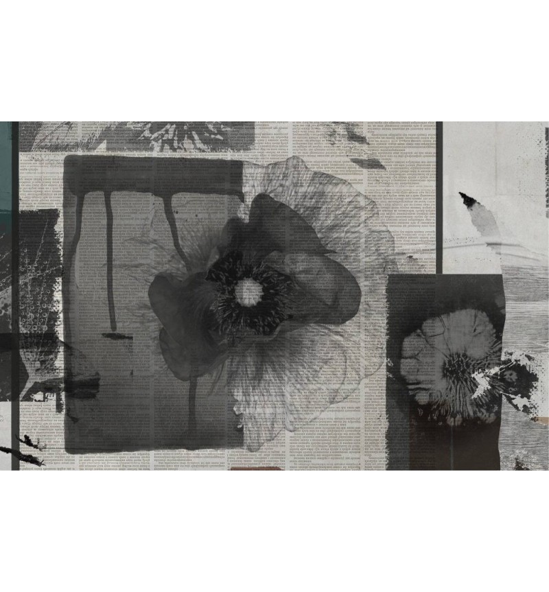 Carta da parati “WPC_338” – Collezione Wall Writing | BHOME