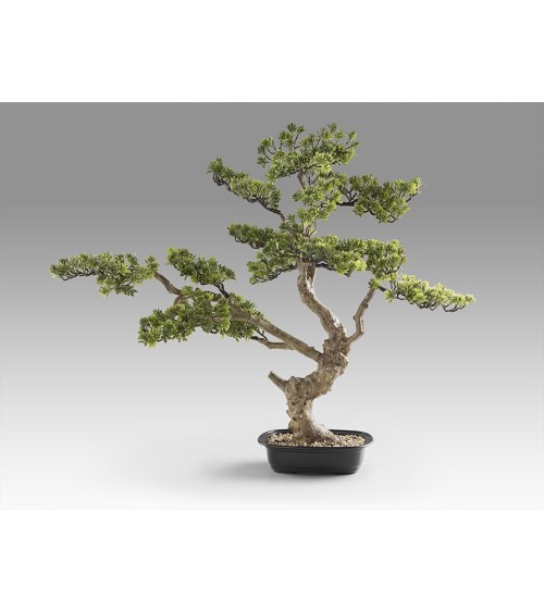 Bonsai artificiale Sokan SCHULLER VALENCIA