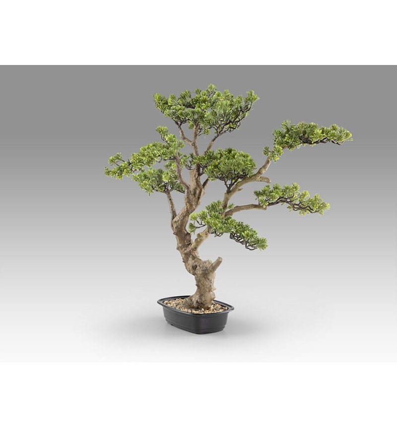 Bonsai artificiale Sokan SCHULLER VALENCIA