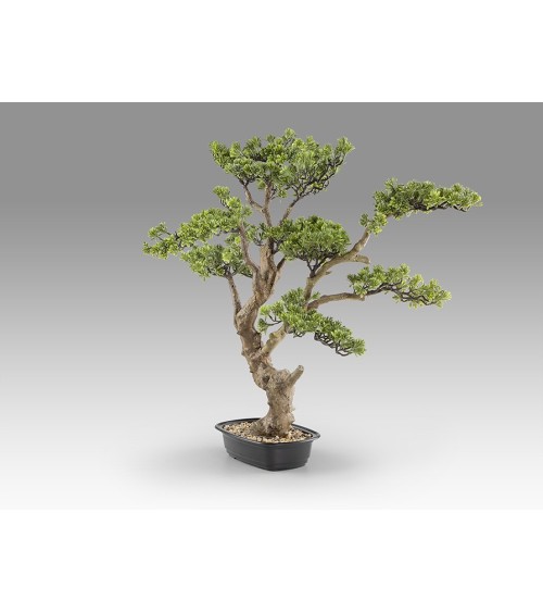 Bonsai artificiale Sokan SCHULLER VALENCIA