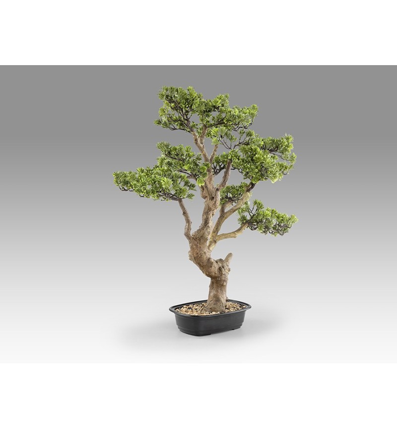 Bonsai artificiale Sokan SCHULLER VALENCIA