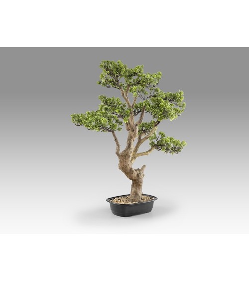 Bonsai artificiale Sokan SCHULLER VALENCIA