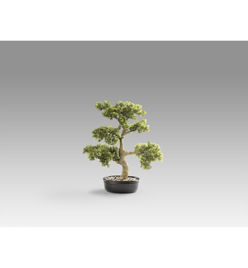 Bonsai artificiale Moyogui SCHULLER VALENCIA