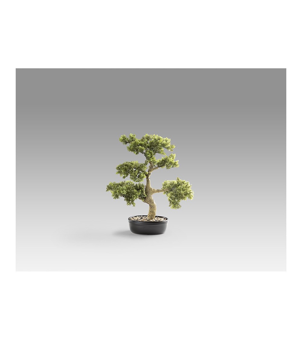 Bonsai artificiale Moyogui SCHULLER VALENCIA