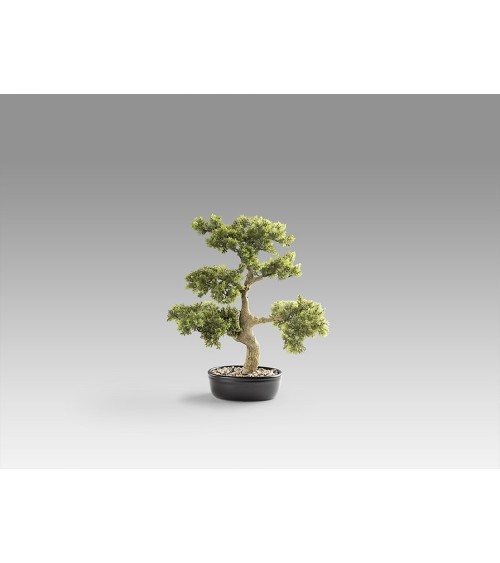 Bonsai artificiale Moyogui SCHULLER VALENCIA