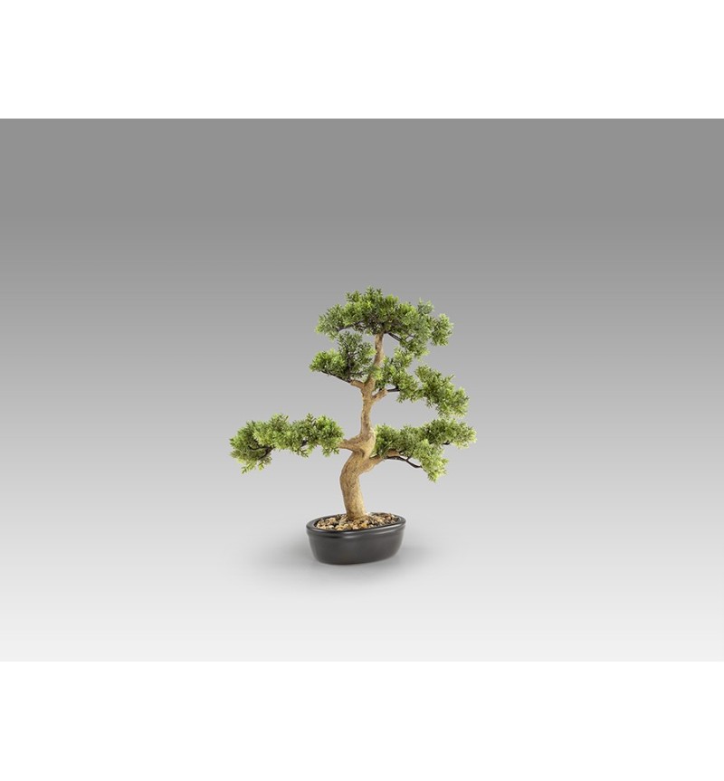 Bonsai artificiale Moyogui SCHULLER VALENCIA