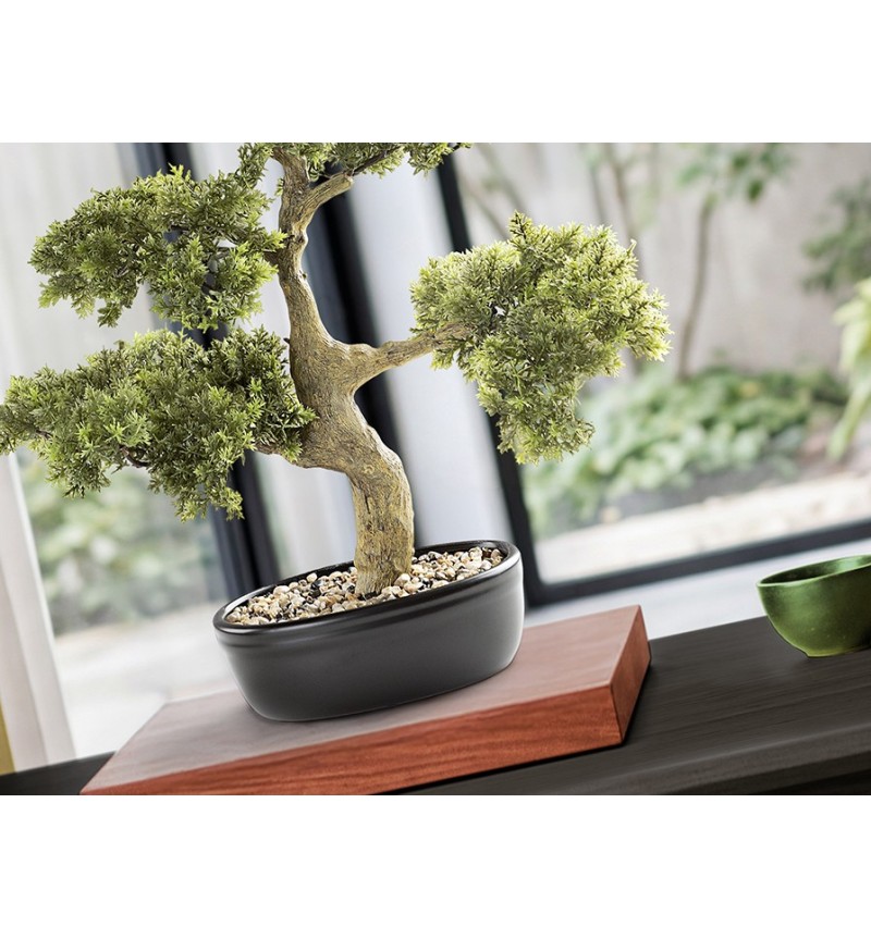 Bonsai artificiale Moyogui SCHULLER VALENCIA