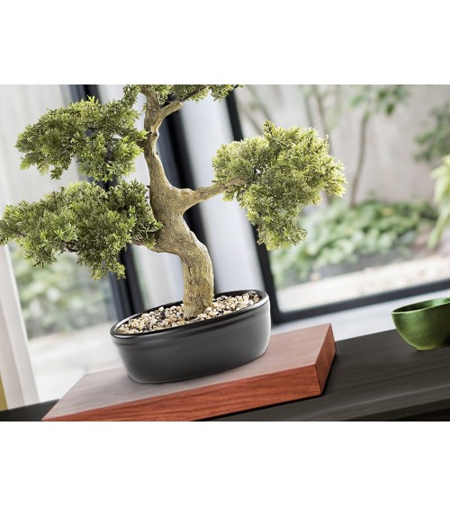 Bonsai artificiale Moyogui SCHULLER VALENCIA
