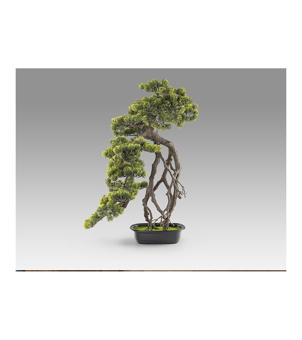 Bonsai artificiale Kengai SCHULLER VALENCIA