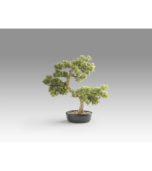 Bonsai artificiale Bankan SCHULLER VALENCIA