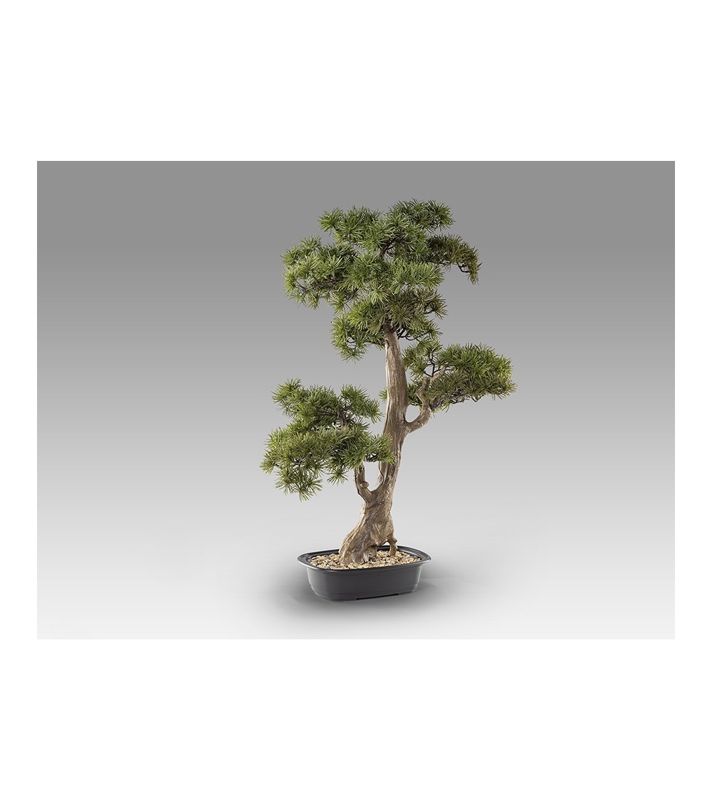 Bonsai artificiale Chokkan SCHULLER VALENCIA