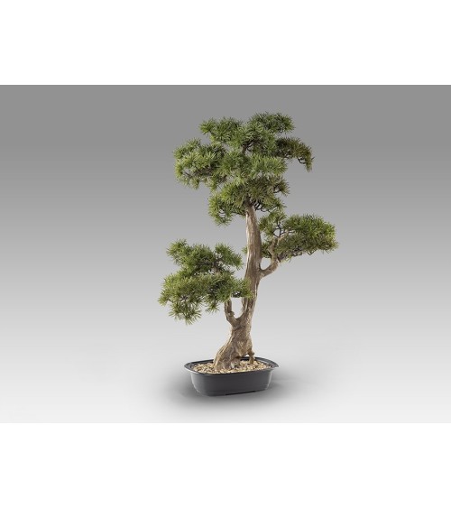 Bonsai artificiale Chokkan SCHULLER VALENCIA