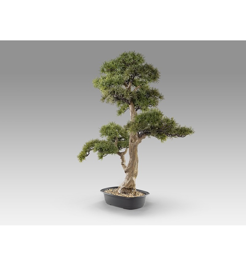 Bonsai artificiale Chokkan SCHULLER VALENCIA