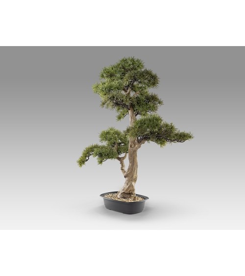 Bonsai artificiale Chokkan SCHULLER VALENCIA