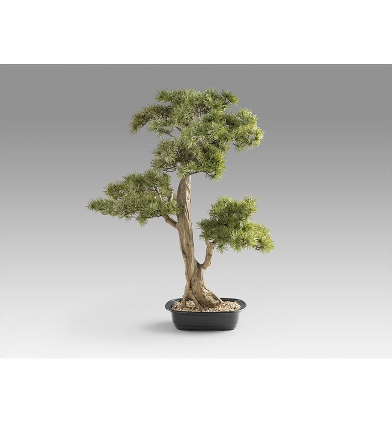 Bonsai artificiale Chokkan SCHULLER VALENCIA