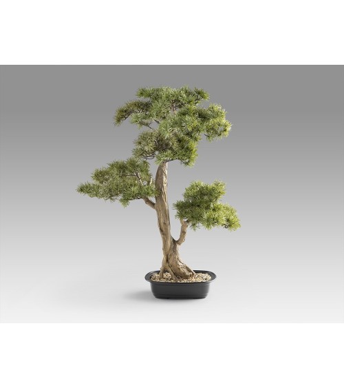 Bonsai artificiale Chokkan SCHULLER VALENCIA