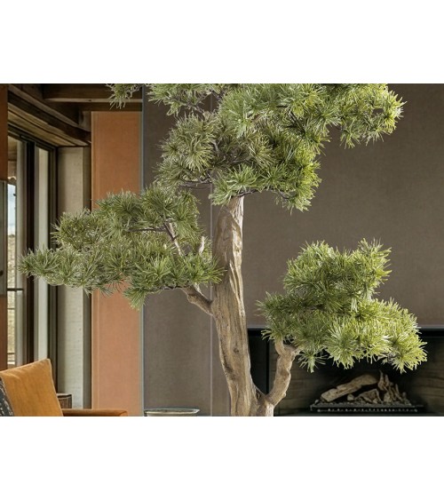 Bonsai artificiale Chokkan SCHULLER VALENCIA